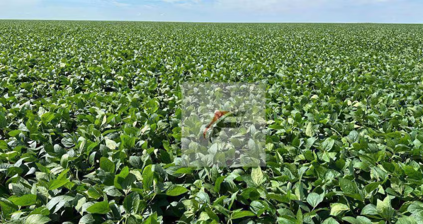 Fazenda com 3 dormitórios à venda, 1355200 m² por R$ 15.000.000,00 - Centro - Lapa/PR