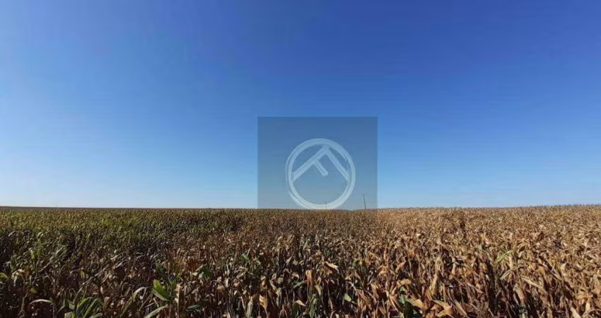 Fazenda à venda, 10962600 m² - Centro - Francisco Alves/PR