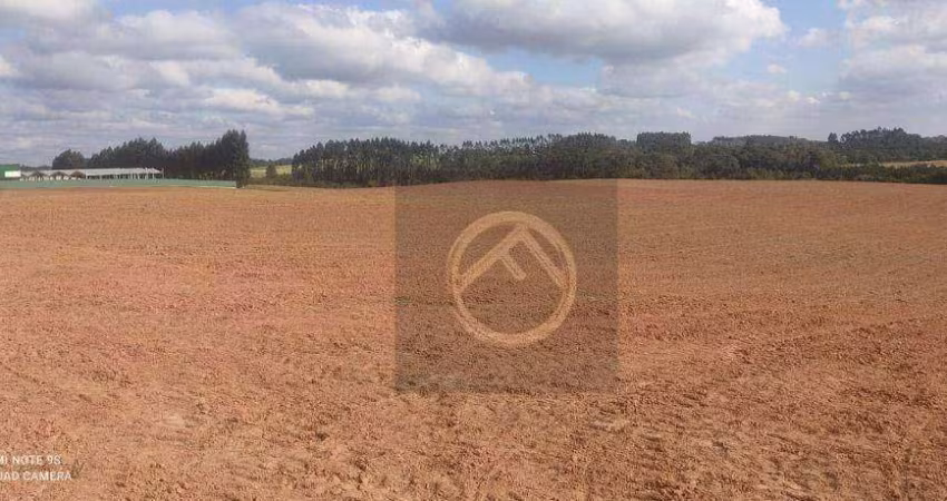 Terreno à venda, 154200 m² por R$ 24.672.000,00 - Eucaliptos - Fazenda Rio Grande/PR