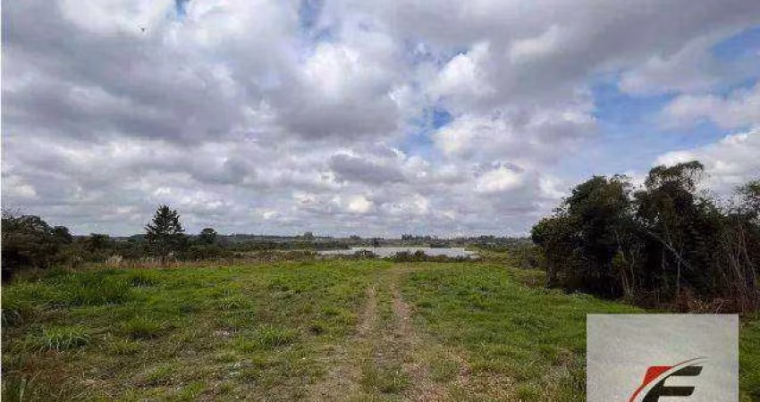 Terreno à venda, 98069 m² por R$ 1.100.000,00 - Campo de Santana - Curitiba/PR