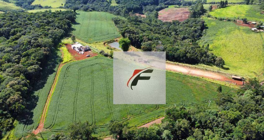 Chácara Sítio com 4 dormitórios à venda, 145200 m² por R$ 2.000.000 - Zona Rural - Palmital/PR
