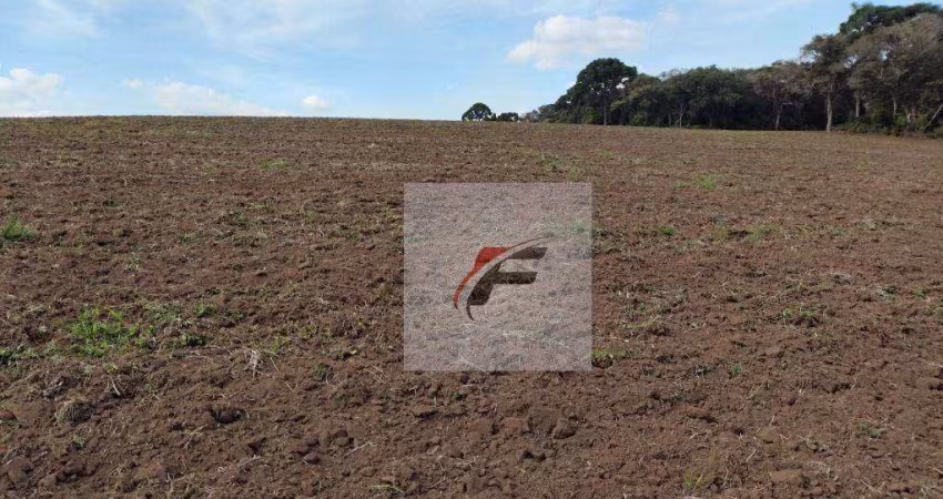 Fazenda à venda, 695266 m² por R$ 3.200.000,00 - Zona Rural - Quitandinha/PR