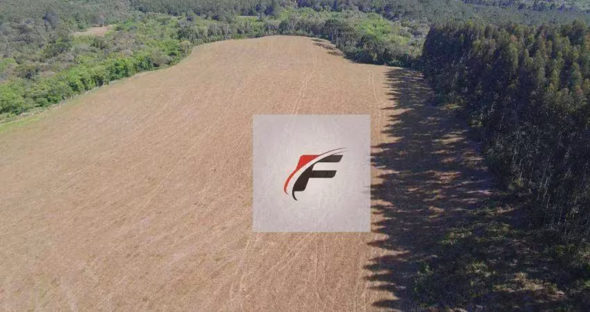 Chácara com 3 dormitórios à venda, 242000 m² por r$ 1.000.000,00 - centro - lapa/pr