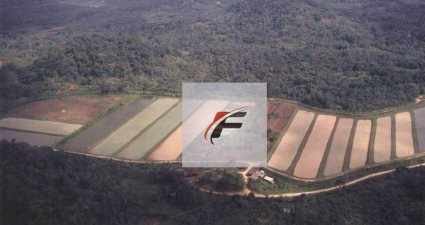 Chácara com 2 dormitórios à venda, 347875 m² por R$ 1.500.000,00 - Centro - Guaraqueçaba/PR