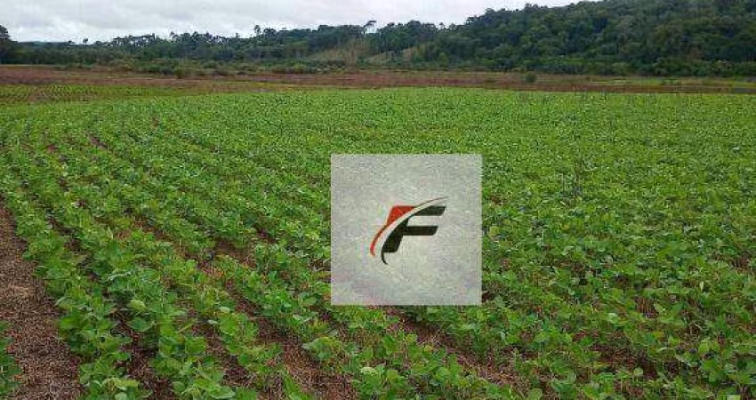 Fazenda à venda, 726000 m² por R$ 3.727.000,00 - Jardim Vitória - Turvo/PR