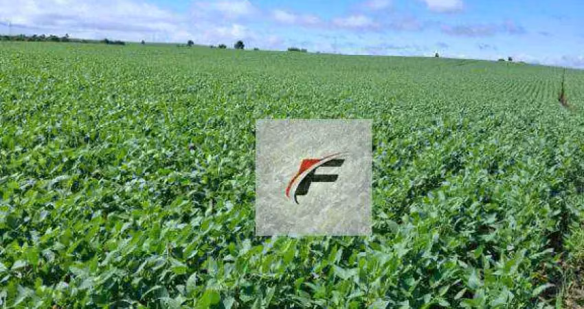 Fazenda à venda, 14858800 m² por R$ 80.000.000 - Centro - Castro/PR