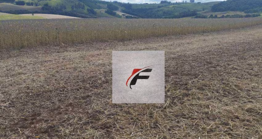 Fazenda à venda, 3775200 m² por R$ 48.929.400,00 - Centro - Pitanga/PR