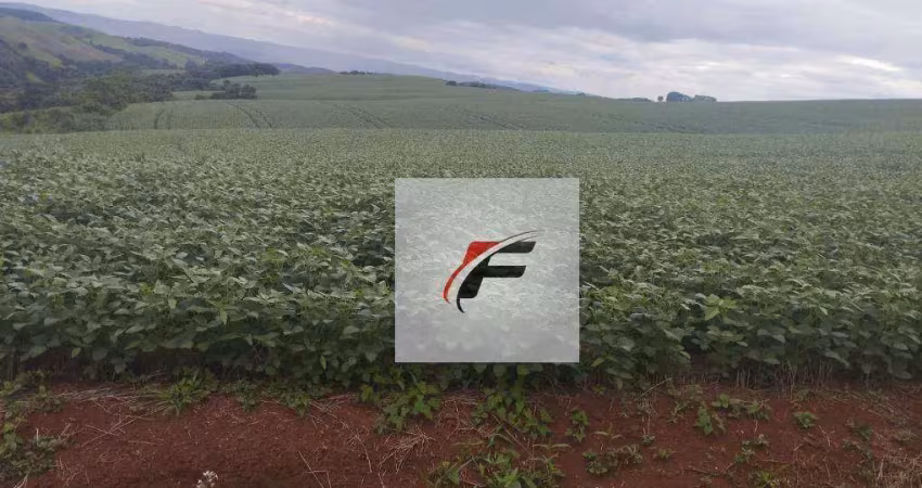 Fazenda com 3 dormitórios à venda, 871200 m² por r$ 11.263.500,00 - centro - guarapuava/pr