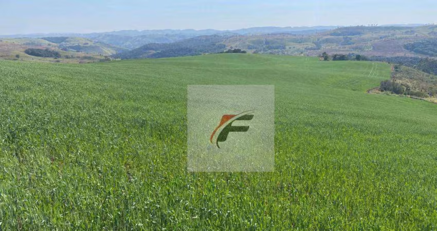 Fazenda à venda, 3678400 m² por R$ 39.600.000 - Zona Rural - Palmital/PR
