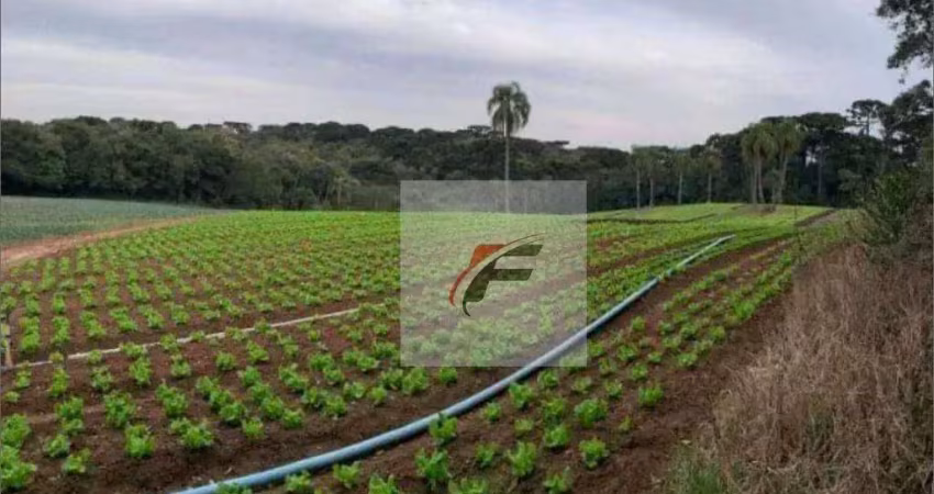 Terreno à venda, 21000 m² por r$ 4.490.000 - umbará - curitiba/pr