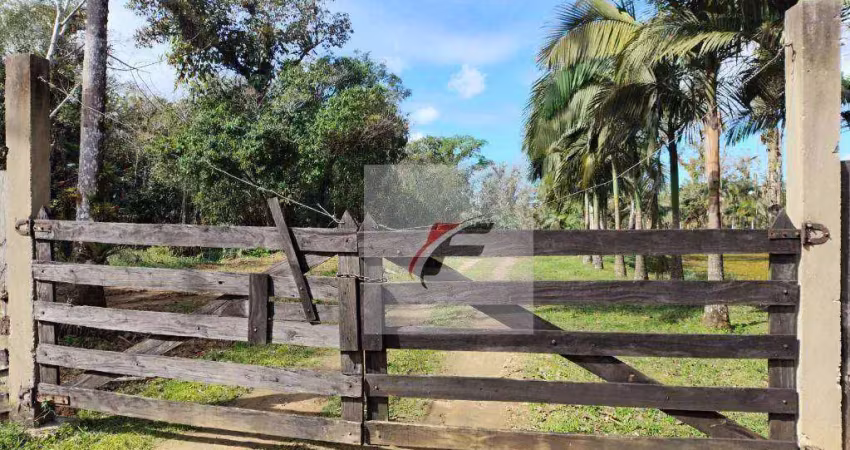 Fazenda a venda permuta 47 alqueires r$ 950.000 - zona rural - antonina/pr