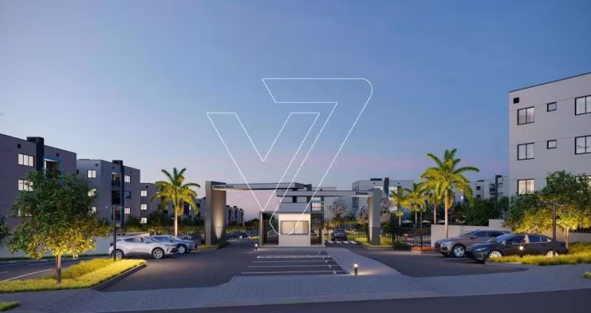 Vittace Flora - Lançamento na zona Norte - Londrina/PR