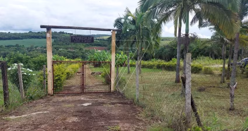 Chácara para Venda, km 39, Maravilha, Londrina, PR