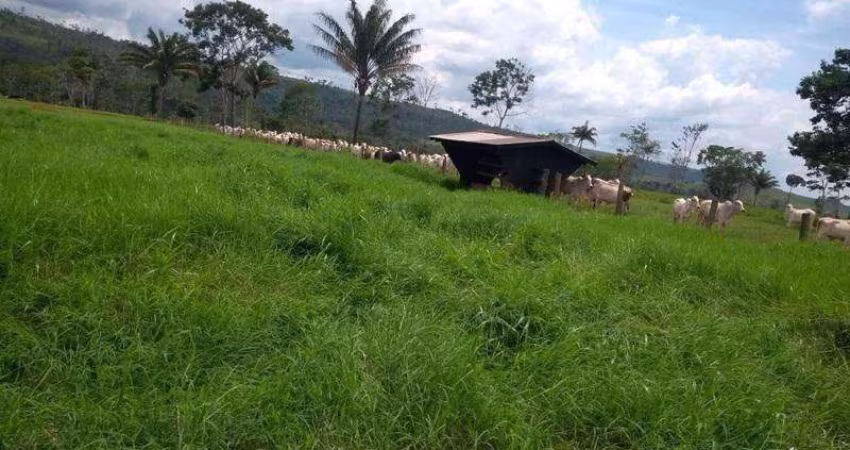 Fazenda para Venda em Juara, Paranorte