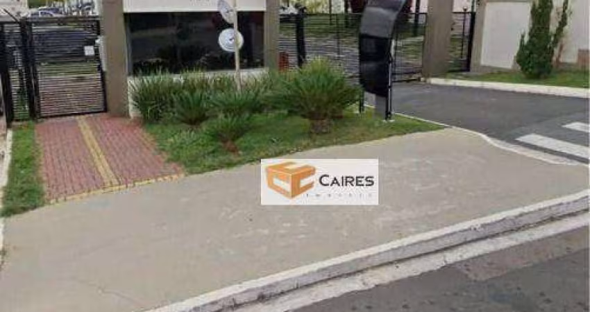 Apartamento com 2 dormitórios à venda, 41 m² por R$ 250.000,00 - Jardim Esmeraldina - Campinas/SP