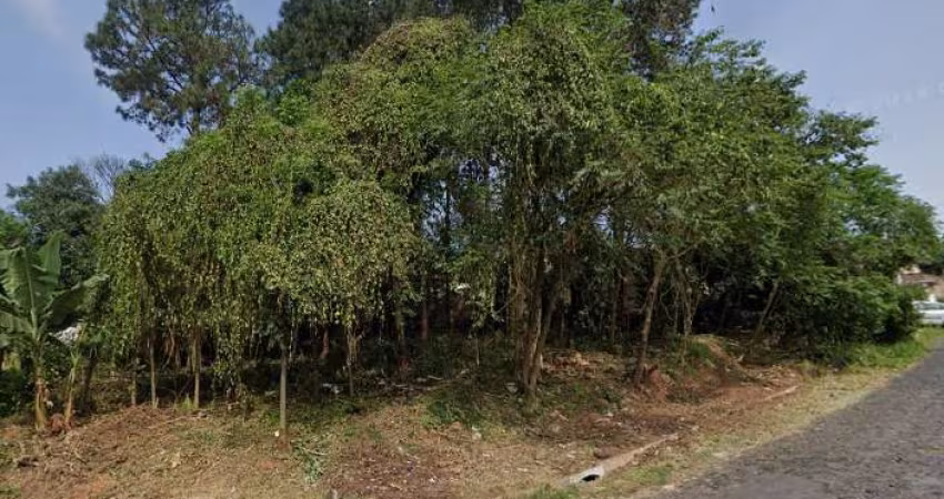 Terreno à venda na Rua Alberto Adolpho Fruchtenicht, Campestre, São Leopoldo