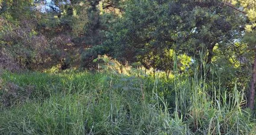 Terreno à venda na Rua Alberto Adolpho Fruchtenicht, Campestre, São Leopoldo