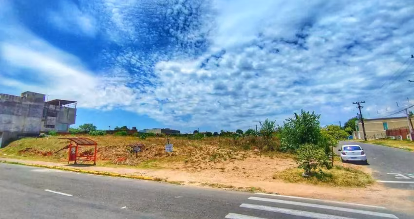 Terreno comercial para alugar no Camboim, Sapucaia do Sul 