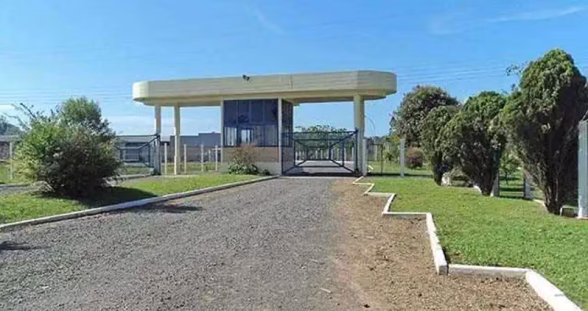 Barracão / Galpão / Depósito para alugar no Jardim Betânia, Cachoeirinha 
