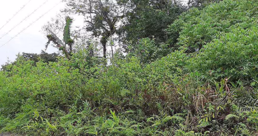 Terreno comercial à venda na ENDEREÇO NÃO INFORMADO, Braço da Figueira, Antonina