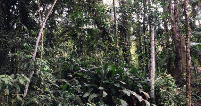 Terreno à venda na ENDEREÇO NÃO INFORMADO, Rio Sagrado, Morretes