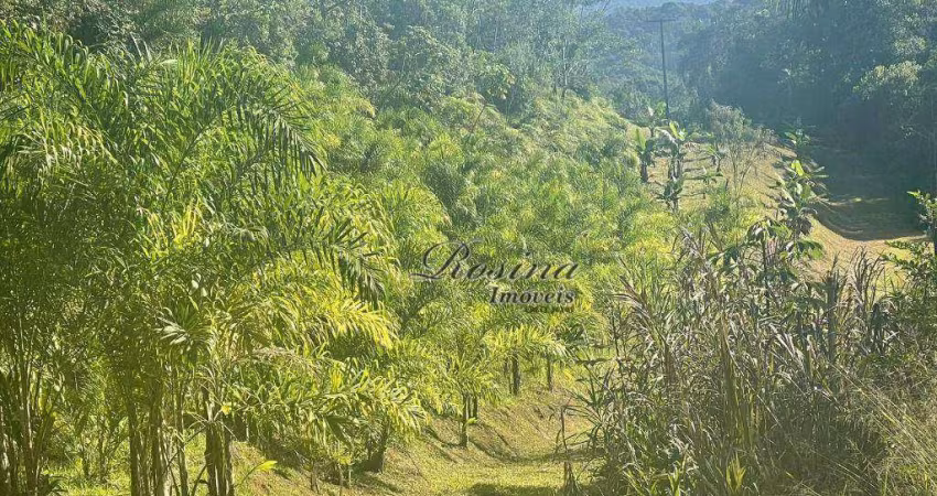 Terreno à venda na ENDEREÇO NÃO INFORMADO, Colônia Sesmaria, Morretes