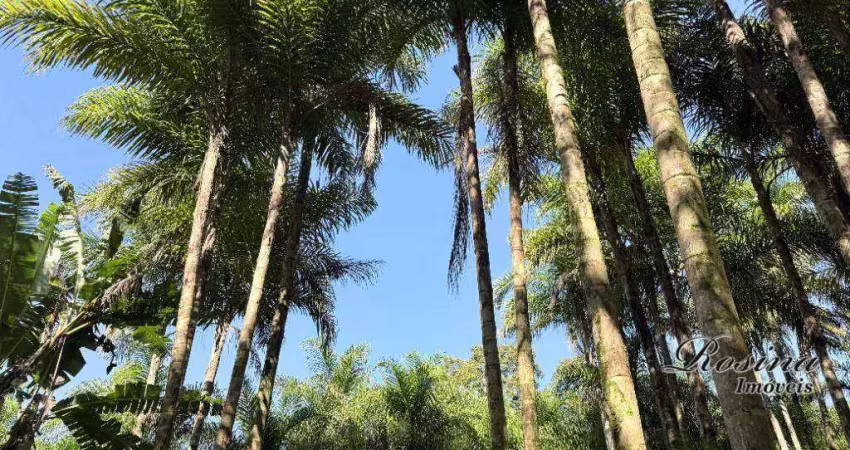 Terreno à venda na ENDEREÇO NÃO INFORMADO, Sambaqui, Morretes
