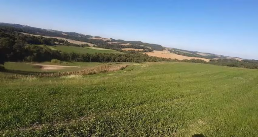 LINDO SITIO 5 ALQUERES E MEIO, 133 MIL M², A 4 KM DA RODOVIA DO XISTO, MARIENTAL CONTENDA COM CASA 120M², A 210 MIL POR ALQUEIRES FN 99864-4995