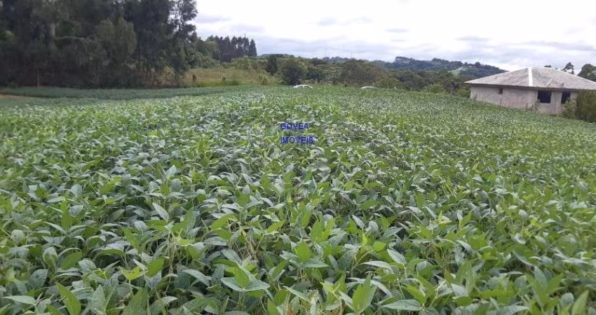 CHÁCARA 20 MIL M², ESCRITURADA E REGISTRADA * FICA A UM KM DA RODOVIA DO XISTO, NA DIVISA DE MARIENTAL COM CONTENDA
