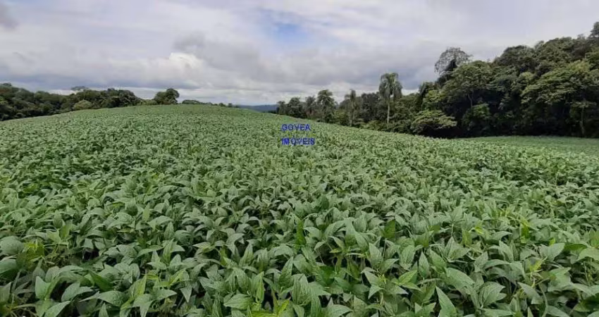 Chácara 20 mil m², escriturada e registrada * fica a um km da rodovia do xisto, na divisa de mariental com contenda
