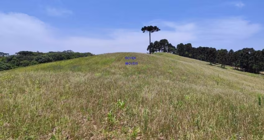 LINDA CHÁCARA 129 MIL M², CASA ALVENÁRIA 115M², LUZ, ÁGUA, INTERNET VIA CABO, 1,5 KM DA RODOVIA 277, CAMPO LARGO