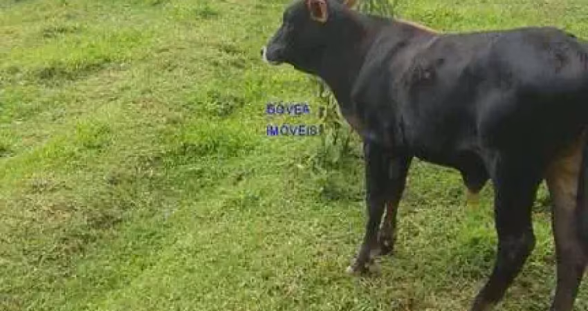 Chácara a 9 km de contenda  localidade rio do cacho. a chacara tem 5840m2  tem duas contruções,