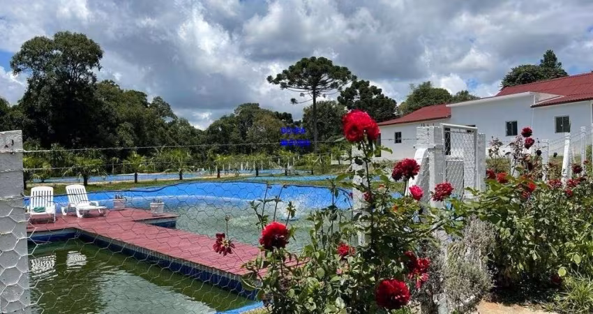 CHÁCARA 3/7 ALQUEIRES, ALTO PRODUTIVA, LAZER, CONFORTO E TRANQUILIDADE COM 1.500M² ESTUFA MORANGO, CASA ALVENÁRIA, PISCINA, TANQUES PEIXE PRODUZINDO,