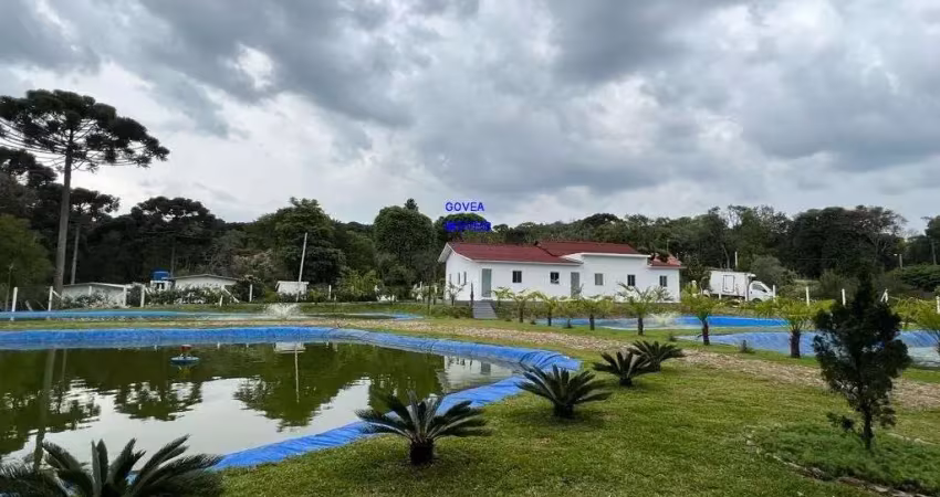 Chácara 3/7 alqueires, alto produtiva, lazer, conforto e tranquilidade com 1.500m² estufa morango, casa alvenária, piscina, tanques peixe produzindo,
