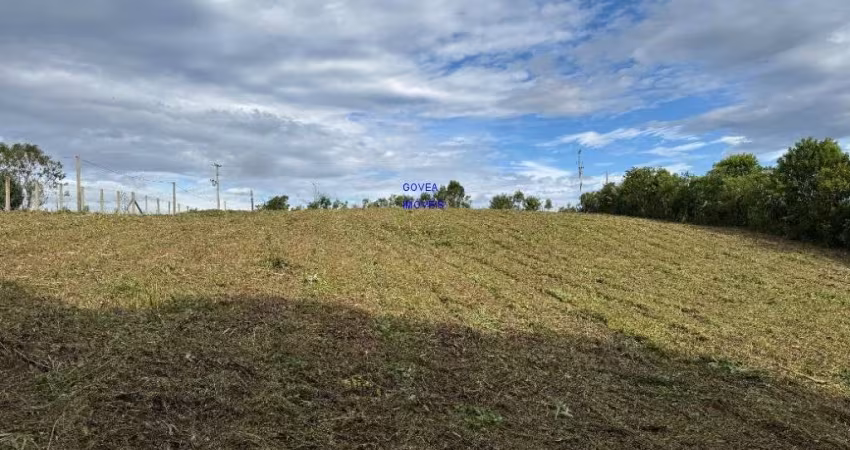 CHÁCARA 5.800M² ESCRITURADA E REGISTRADA, PROX ASFALTO, 1 KM DO COMÉRCIO, LIMPA, MECANIZADA, BOSQUE MÉDIA 800MT, LUZ, INTERNETE FN 41 99864-4995