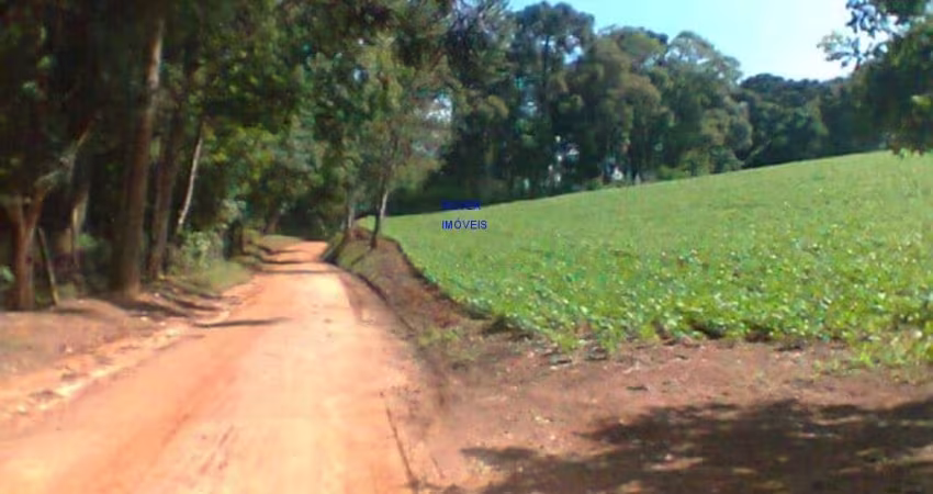 CHÁCARA 12 MIL M² CONTENDA DOCUMENTOS OK. ESCRITURA E REGISTRO, PLANTIO LAVOURA  FRENTE PARA ESTRADA STRUGAYA * CASINHA SIMPLES,   LUZ 220W