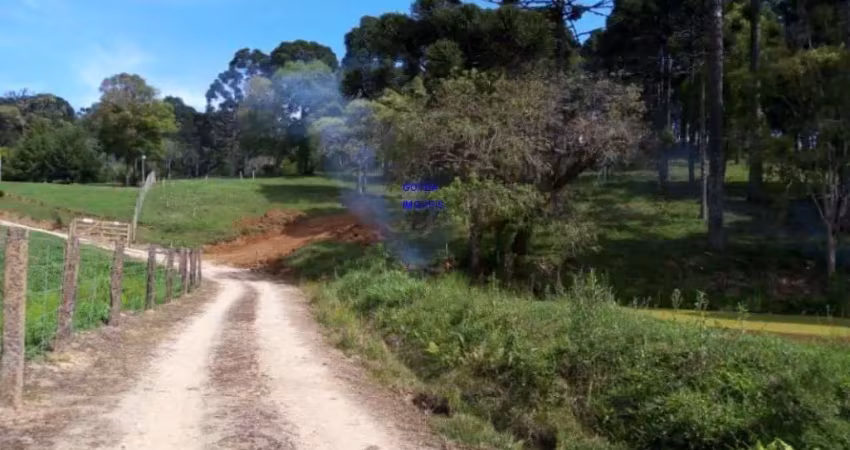 Chácara 7 milm², escriturada, aceita veiculo, estuda permuta ou parcelamento c/ proprietãrio, fica a 4 km da igreja são pedro e 11 km do asfalto
