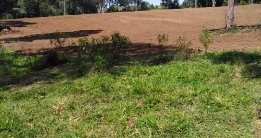 CHÁCARA DE 3 ALQUEIRES E 5 LITROS, COM CASA, 75.911M² LAPA, DOCUMENTADA POR 460 MIL FN 99864-4995