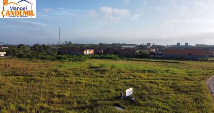 Terreno comercial à venda na Rua Patricio Monteiro Cabral, Porto Grande, Araquari