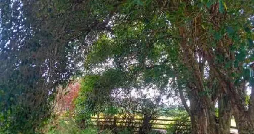 Casa para venda em viamão, morro grande, 2 dormitórios, 1 banheiro