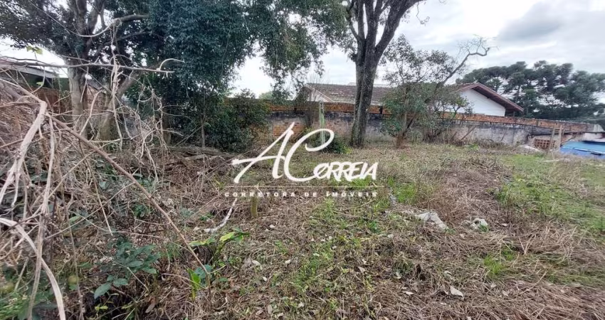 Terreno Vista Alegre Ótima Região