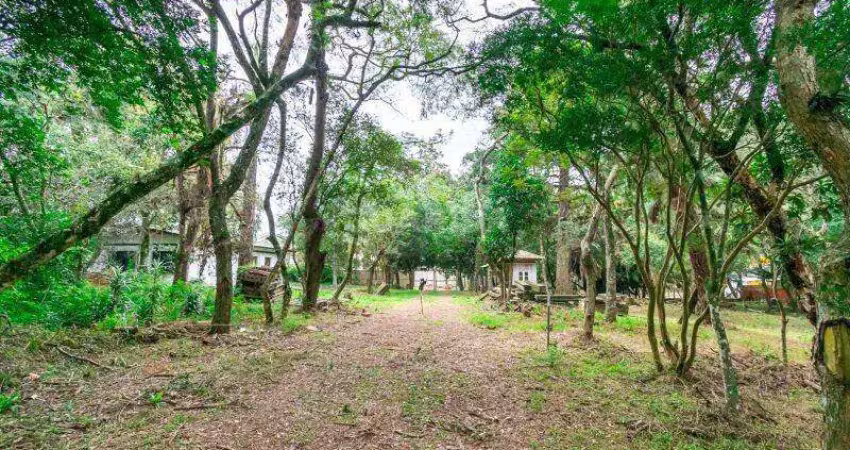 Terreno comercial para alugar na Avenida Coronel Marcos, Ipanema, Porto Alegre