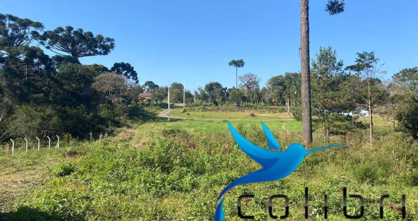 Chácara Urbana em Trigolândia - Piên