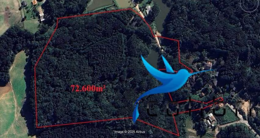 Linda chácara a 800 mts do centro de Agudos do Sul com acesso asfaltado