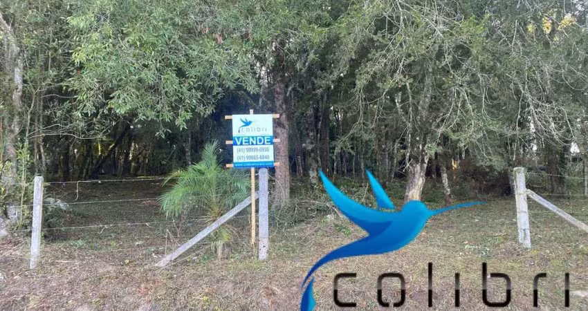 Chácara / sítio à venda na Estrada Principal do Ribeirãozinho, 9985, Ribeirãozinho, Agudos do Sul