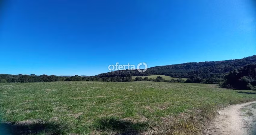 Fazenda à venda no Centro, Lapa 