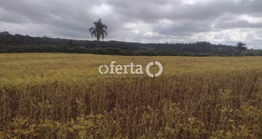 Fazenda à venda no Centro, Lapa 