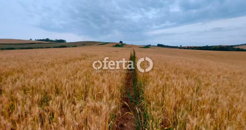 Fazenda à venda no Centro, Antônio Olinto 