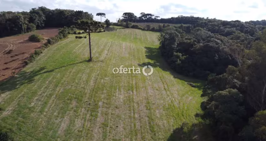 Chácara / sítio à venda no Guajuvira, Araucária 