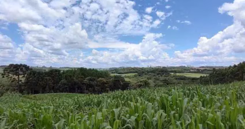 Chácara / sítio à venda em Mato do Chiqueiro, Balsa Nova 